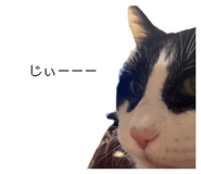 839577213