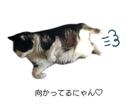 839577218