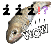 839577311