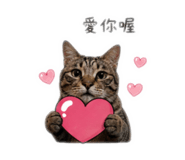 839579301