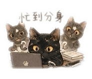 839579815