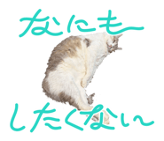 839583801
