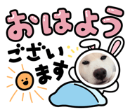 839583882