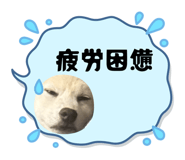 839583890