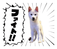 839583893