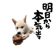 839583894