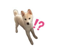 839583896