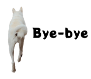 839584009