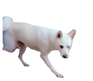 839584013