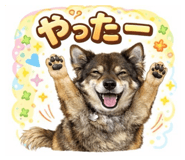 839584405
