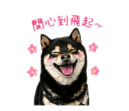 839585239