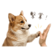 839585343
