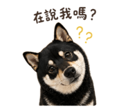 839585648