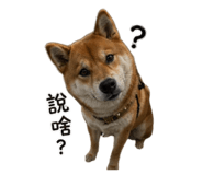 839585649