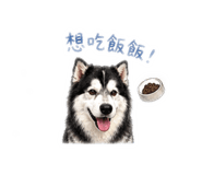 839585968