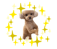 839586037
