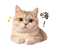 839586241