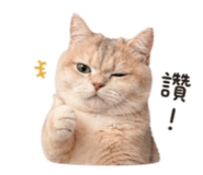 839586242