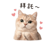 839586248