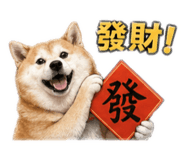 839586522