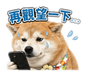 839586532
