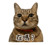 839586561
