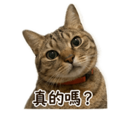 839586572