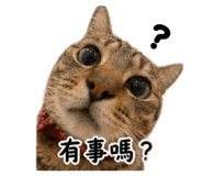839586583