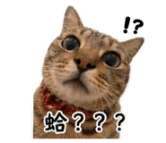 839586588
