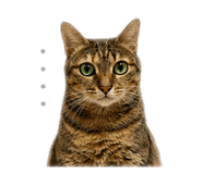 839586888