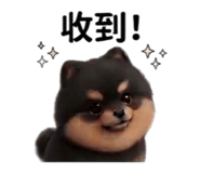 839587221