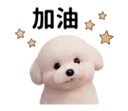 839587224