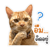839587510