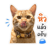 839587513