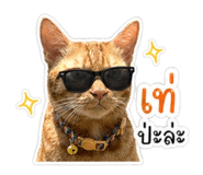 839587516