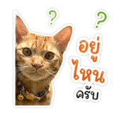 839587519