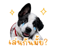 839588370