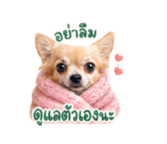 839589343