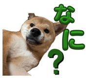 839590905