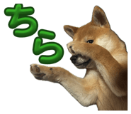 839590908