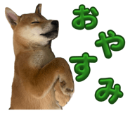 839590909