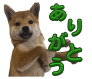 839590912