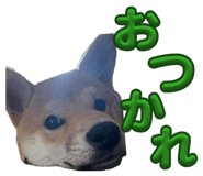 839590916