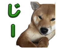 839590920