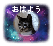 839590928