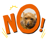 839590990