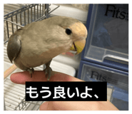 839591080