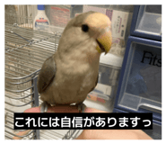 839591081