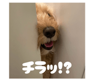 839591194