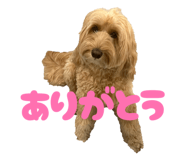 839591200